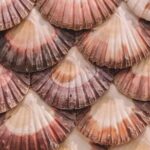 Unique Experience: Complete Tour of Rías Baixas and Isla da Toxa - FAQ