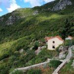 Unique gastro experience with locals in high hills above Budva! - Transportation, Duration, and Value