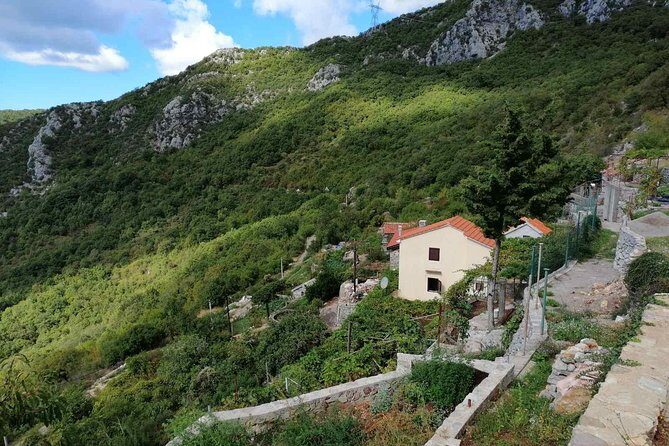 Unique gastro experience with locals in high hills above Budva! - Transportation, Duration, and Value