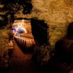 Unusual visit & Tasting of our organic wines - FAQ