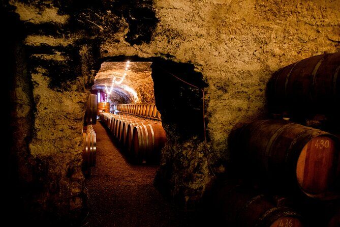 Unusual visit & Tasting of our organic wines - FAQ