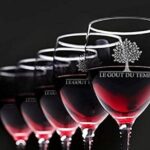 Unusual wine tasting in DARWIN (Bordeaux)! - Why This Tour Works for Different Travelers