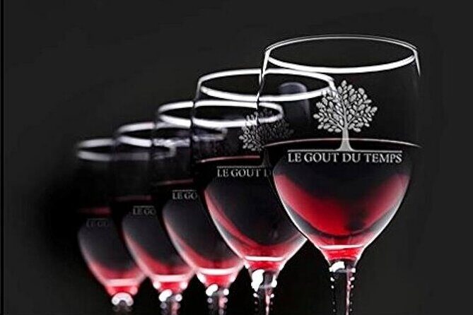 Unusual wine tasting in DARWIN (Bordeaux)! - Why This Tour Works for Different Travelers