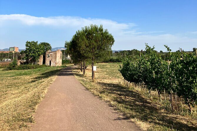 Urban Hike to the Aqueduct Park in Rome - The Value of the Experience