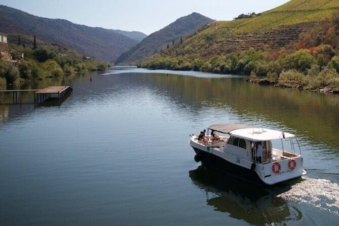 VALE DOURO: Premium Wine, Lunch Wine & Private Boat Tour - Transportation and Group Size