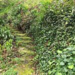 Vale Paraiso - Paradise Valley Walk - Practical Details: What You Need to Know