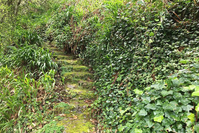 Vale Paraiso - Paradise Valley Walk - Practical Details: What You Need to Know