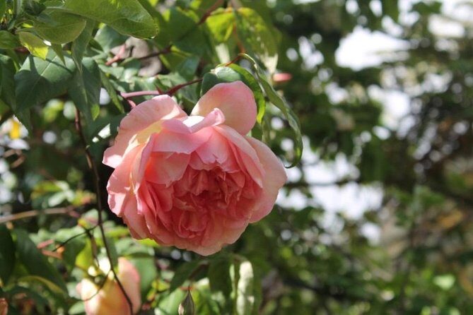 Vale Paraíso - Rochão (Half Day Walk) - Frequently Asked Questions