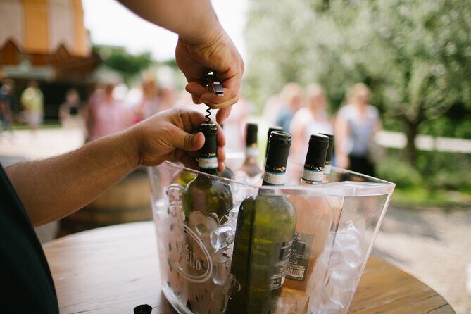 Valeggio: Sorsi dEstate, 3 young wines with guided tour - Why This Tour Stands Out