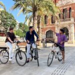 Valencia Bike Tour: Explore the City with a Local Guide - Practical Considerations