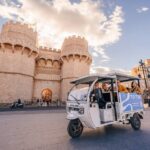 Valencia by Tuk Tuk i: Private tour 1 or 2 hours explore the city - Who Will Love This Tour?