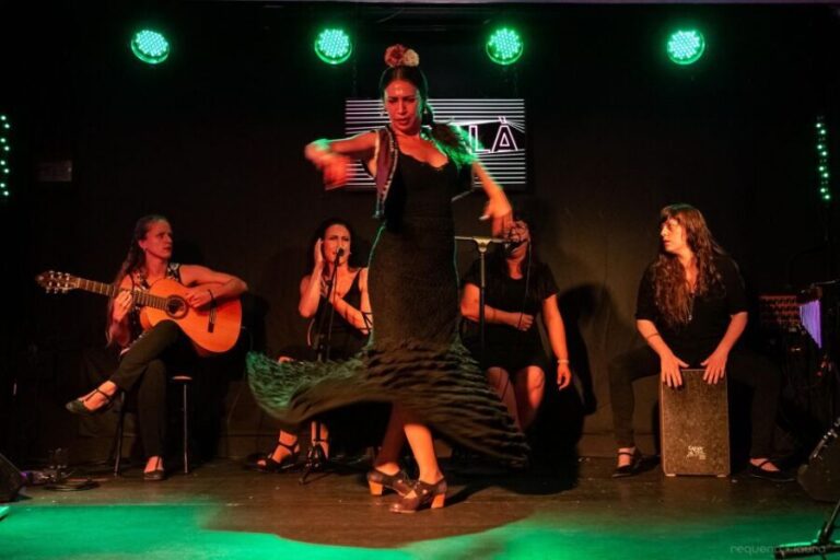Valencia: Flamenco Show at Ca Revolta Theater - The Atmosphere and Audience Experience