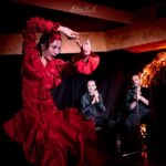 Valencia: Flamenco Show at Tablao La Reina - The Performance: What Will You Witness?