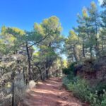 Valencia: Sierra Calderona & El Garbí Mountain hiking Tour - What Makes This Tour Stand Out?