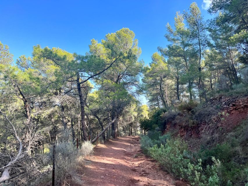 Valencia: Sierra Calderona & El Garbí Mountain hiking Tour - What Makes This Tour Stand Out?