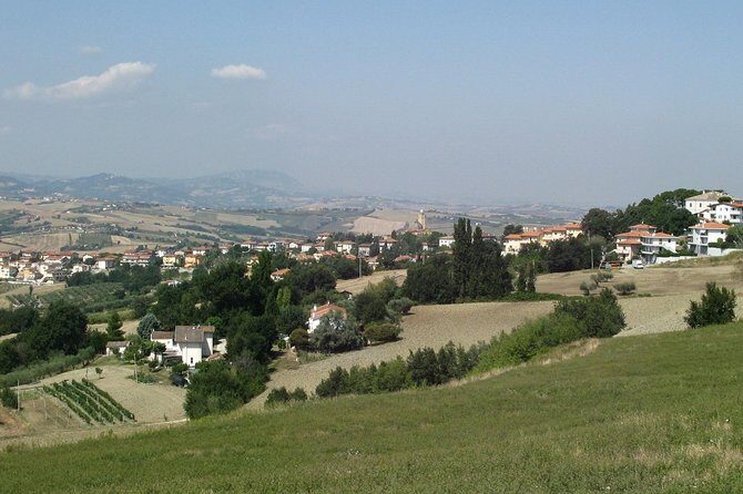 Valentino Rossi round trip to Tavullia from Rome Private day Tour - Shopping at the VR46 Store: A MotoGP Treasure Trove