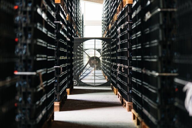 Valpolicella Lunch or Dinner Wine & Food tasting with Amarone - The Tasting & Meal: Savoring the Flavors