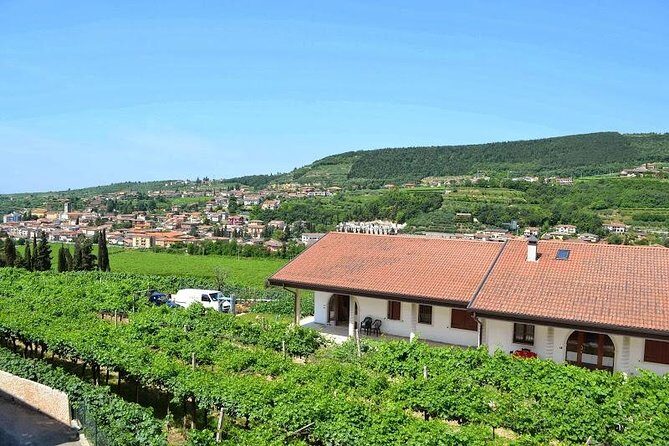 Valpolicella - The wine paradise - A Deep Dive into the Valpolicella Experience