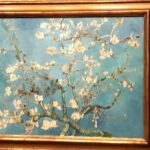 Van Gogh Museum, Rijks Museum & Walking Tour - Private Day Tour - Final Thoughts