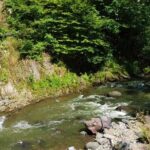 Vardzia Tour from Tbilisi with Rabati Castle and Borjomi Park - Starting Early for a Full Day of Exploration