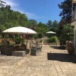 Vegan Charme: Typical Dinner with a Local in Monopoli - Why This Tour Works for You