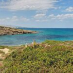 Vendicari Nature Reserve Tour - Why Choose This Tour? Our Honest Assessment