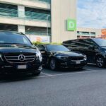 Venice Airport (VCE) to Venice, piazzale Roma - Arrival Private Transfer - What the Service Offers