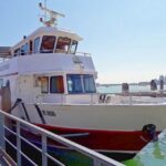 Venice: Murano & Burano Panoramic Boat Tour w/ Glassblowing - What to Expect and Practical Tips