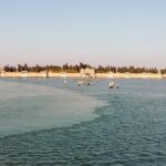 Venice's Cemetery on San Michele Island Tour - The Sum Up
