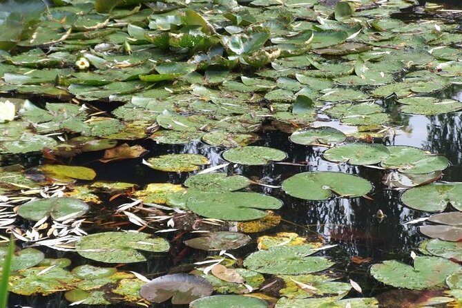 Versailles and Giverny Tour Hotel Pickup - A Deep Dive into the Tour Experience