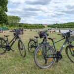 Versailles: Bike Rental, Different Sizes - Who Is This Tour Best For?