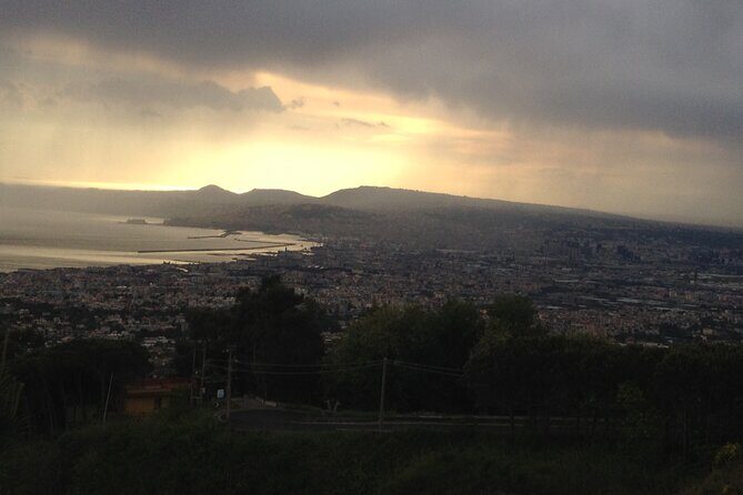 Vesuvius, V.I.P. the only Tour with Volcanological Guide - FAQ