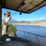 Viareggio: Natural Reserve Sunset Canoe Tour with Aperitif - The Sum Up: Why Choose the Viareggio Sunset Canoe Tour?