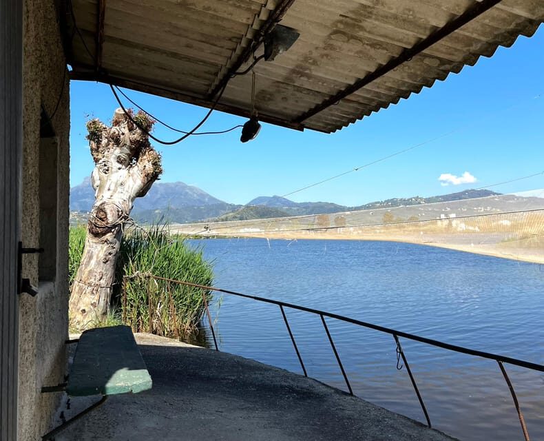 Viareggio: Natural Reserve Sunset Canoe Tour with Aperitif - The Sum Up: Why Choose the Viareggio Sunset Canoe Tour?