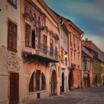 Vienna-Budapest One-Way Sightseeing Transfer - Practical Details and Considerations