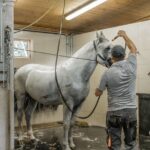 Vienna Horse-drawn Carriage Guided Tour - Final Thoughts