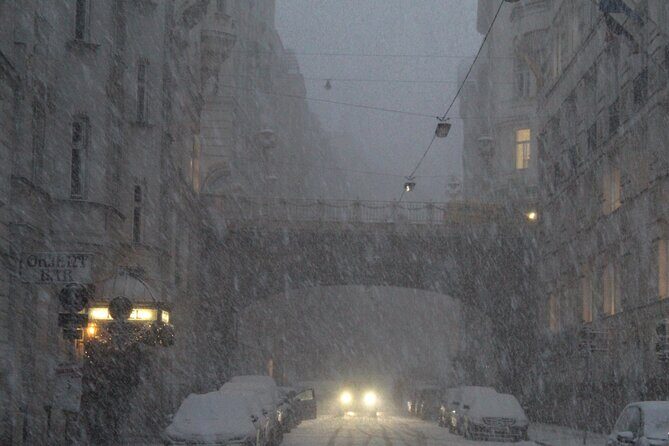 Vienna Secrets Walking Tour to Backyards and Mysterious Locations - The Practicalities: What You Need to Know