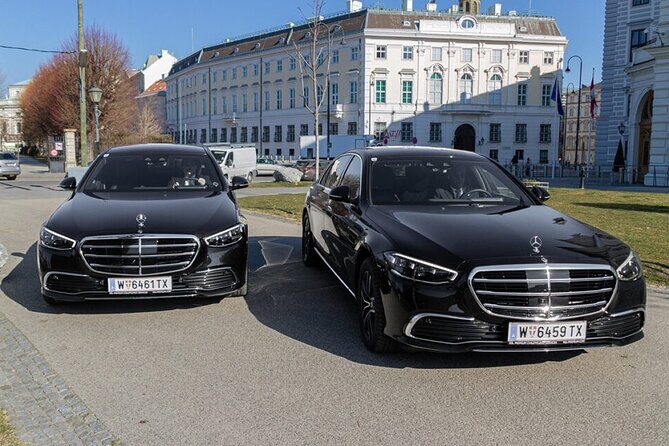 Vienna Through a Lens - Authentic Experiences and What Reviewers Say