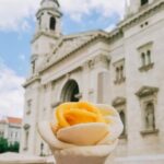 Vienna to Budapest - Private transfer with 2h of Sightseeing - Final Thoughts