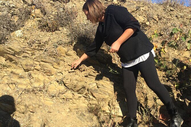 Vienna Wine Experience - Frequently Asked Questions