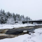 Vikakongas Hike: Nature and Silence - What Makes This Tour Stand Out?