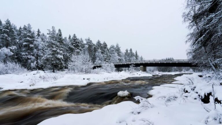 Vikakongas Hike: Nature and Silence - What Makes This Tour Stand Out?