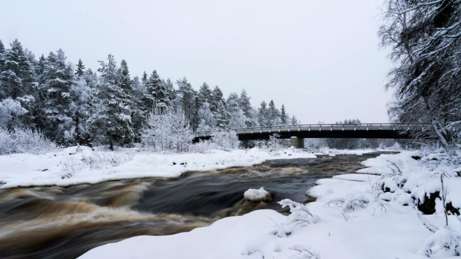 Vikakongas Hike: Nature and Silence - What Makes This Tour Stand Out?