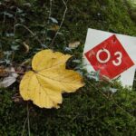 Vikos Gorge crossing hiking from Monodentri to Vikos village - An In-Depth Look at the Vikos Gorge Crossing