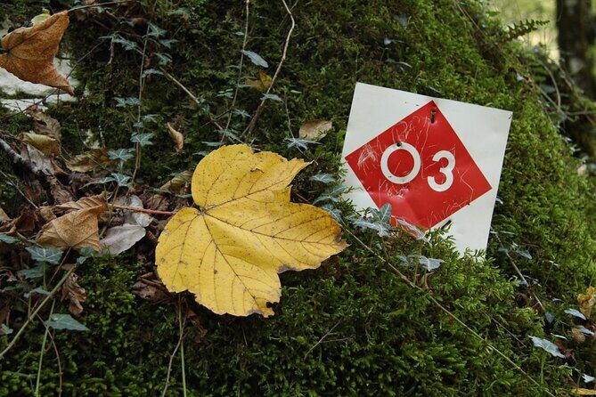 Vikos Gorge crossing hiking from Monodentri to Vikos village - An In-Depth Look at the Vikos Gorge Crossing