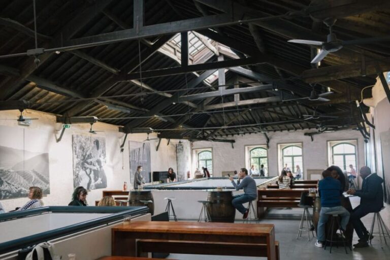 Vila Nova de Gaia: Cocktail Making Workshop - Final Thoughts