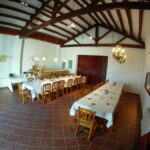 Vilafranca del Penedès: Winery Visit with Tastings - Value for Money and Practical Details