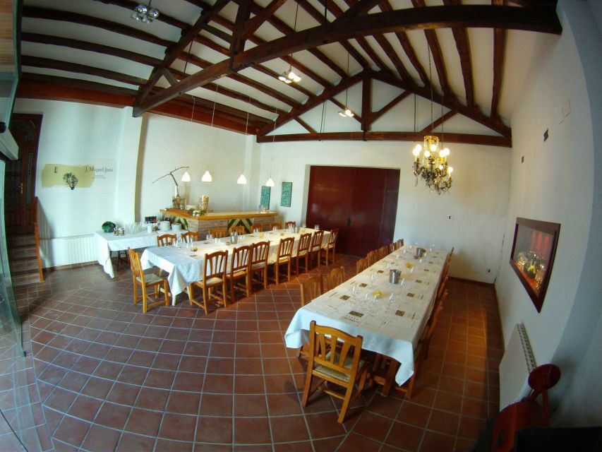 Vilafranca del Penedès: Winery Visit with Tastings - Value for Money and Practical Details