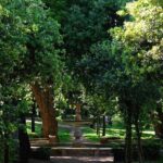 Villa Borghese and Posh Areas Unique Photo Tour and Workshop - Practical Details and Tips