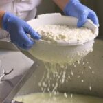 Village Venture: Troodos Mountains Food & Wine Small Group Day Tour - The Guide and Group Dynamics